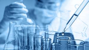 totojang1977 - stock.adobe.com