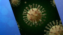 Asahi Kasei's Aicuris Acquisition Targets Infectious Disease Therapies