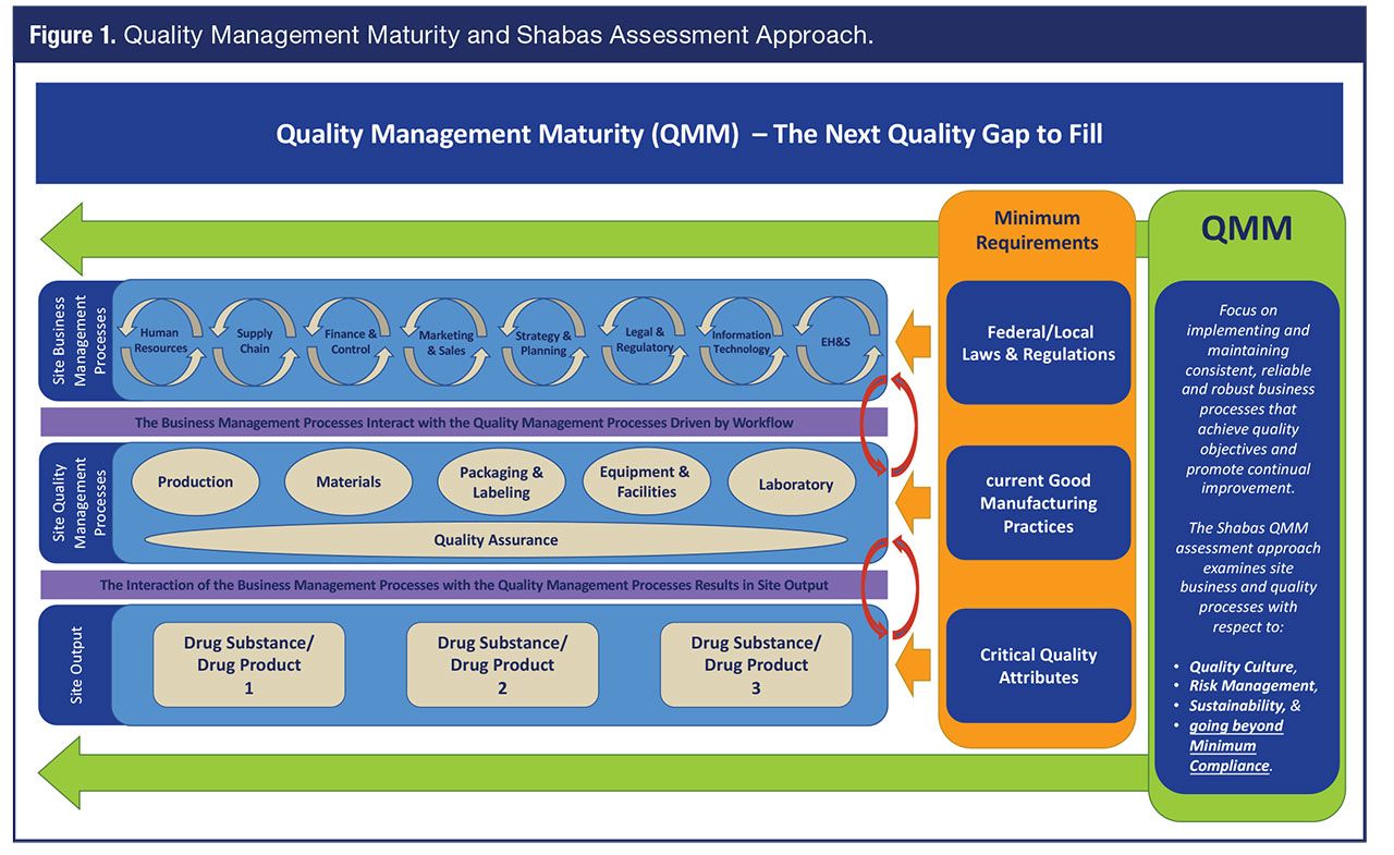 Introduction to Pharmaceutical QMM Model: QMM Assessment to Promote ...