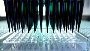 Cavan/stock.adobe.com – automating a single step in sample preparation can optimize the workflow for glycoprotein analysis in vaccine production.