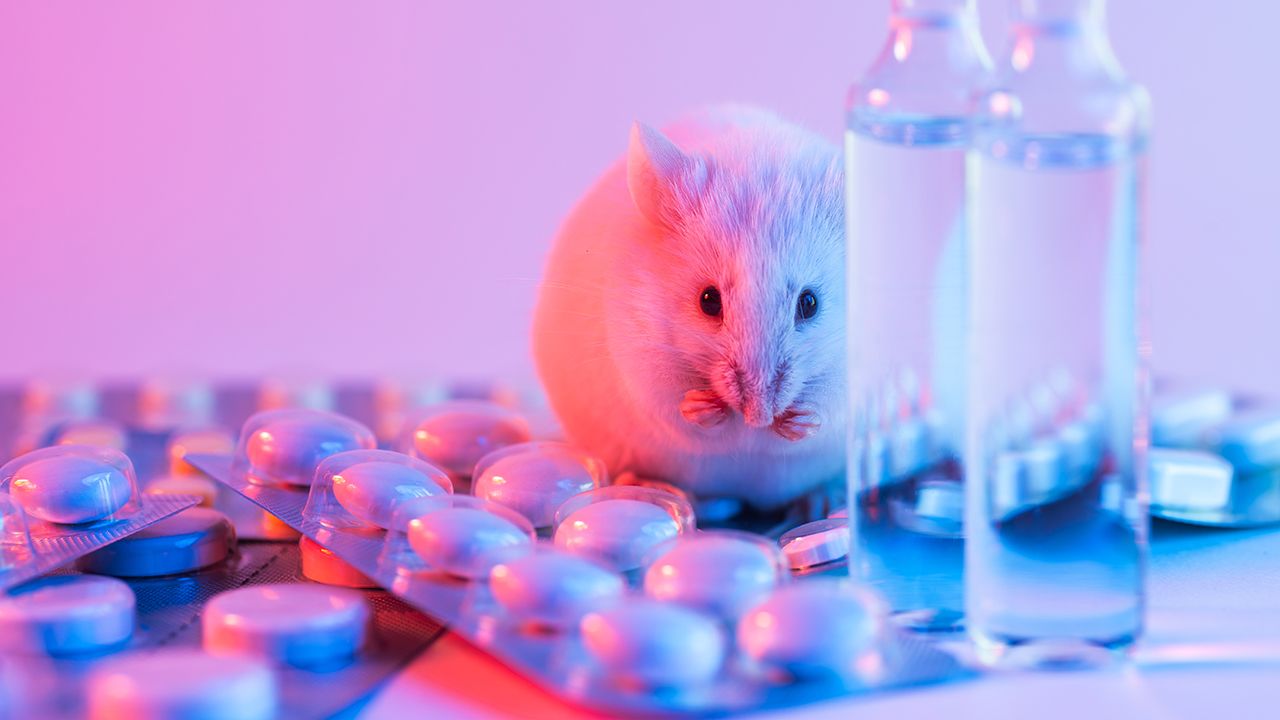 Predicting Toxicity in Drug Development