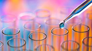 ADME Studies: Determining Promising Drug Compounds 