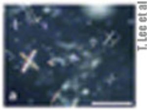 Engineering Processing Properties of Acetaminophen by Cosolvent Screening