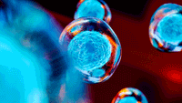 Creative image of embryonic stem cells, cellular therapy, 3d illustration | Image Credit: ©pinkeyes - stock.adobe.com