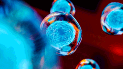 Overcoming Raw-Material Variability Challenges for Autologous Adoptive Cell Therapies 