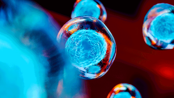 Creative image of embryonic stem cells, cellular therapy, 3d illustration | Image Credit: ©pinkeyes - stock.adobe.com