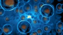 FUJIFILM Irvine Scientific Becomes FUJIFILM Biosciences