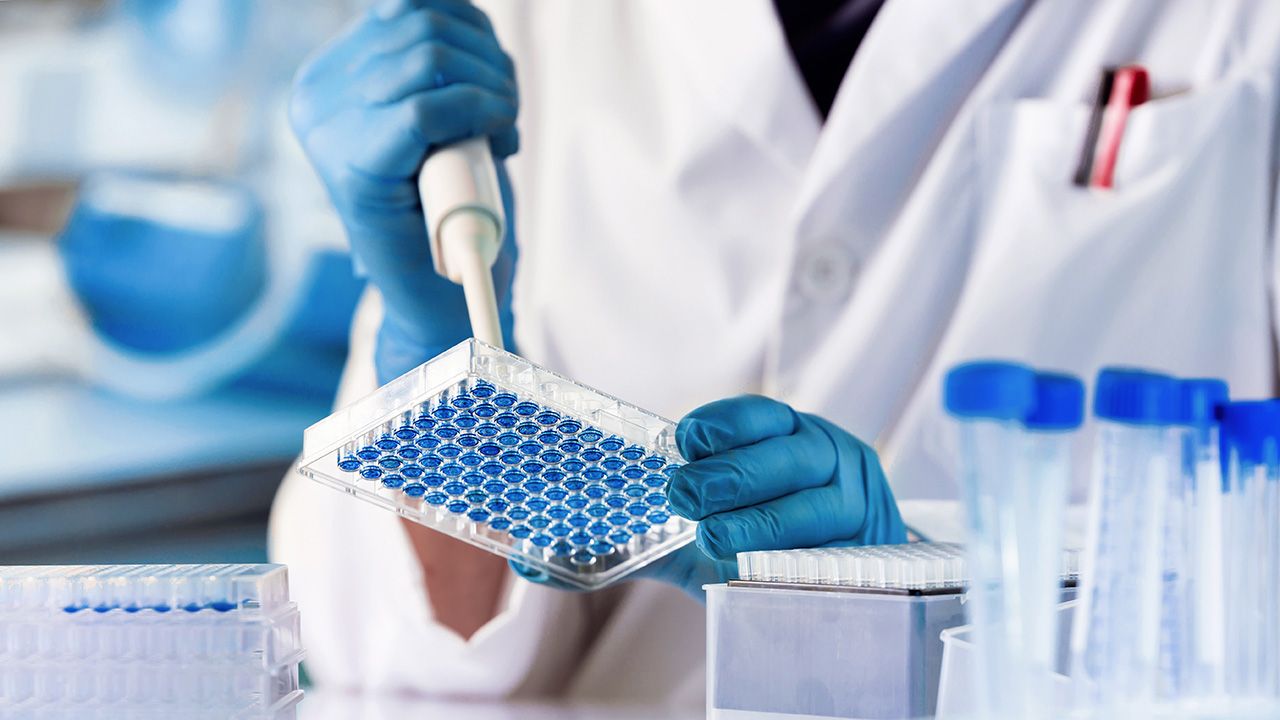 The Power of PK/PD in mAb Development