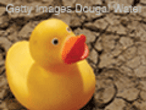 Establishing Endpoints