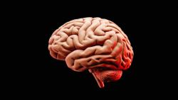Generative AI-Driven Collaboration to Research Treatments for Brain Hemorrhage Complications