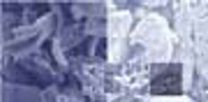 Carrageenans: Analysis of Tablet Formation and Properties