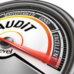 Key Considerations in Outsourced “On-Site” Audits as Part of Supplier Qualification