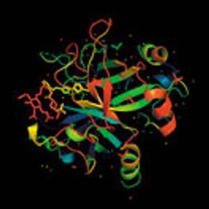 Degradation Pathways: A Case Study with Pegylated L-Asparaginase