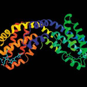 NIST Fluorescence-Based Measurement Services