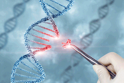 FDA Guidance for Accelerating Gene Therapies for Rare Diseases