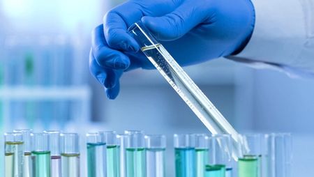 Toxicology: Ensuring Drugs are Safe for People. Image: MOTORTION - STOCK.ADOBE.COM