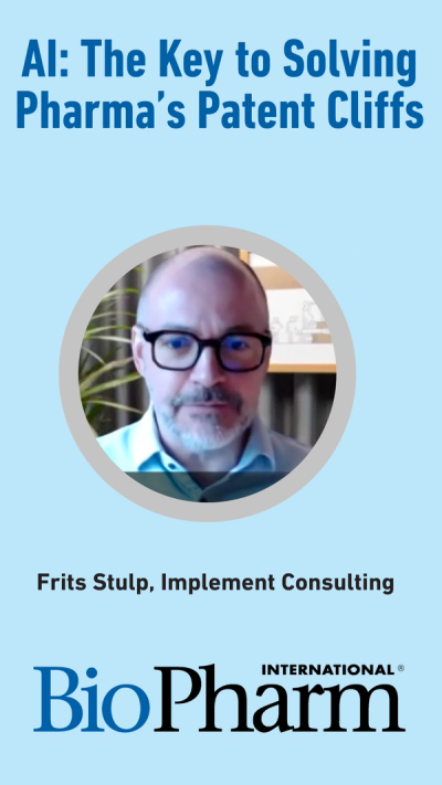 Frits Stulp, Implement Consulting