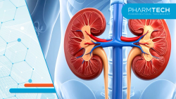 Manufacturing Deficiencies Behind FDA's Oxylanthanum Carbonate Rejection