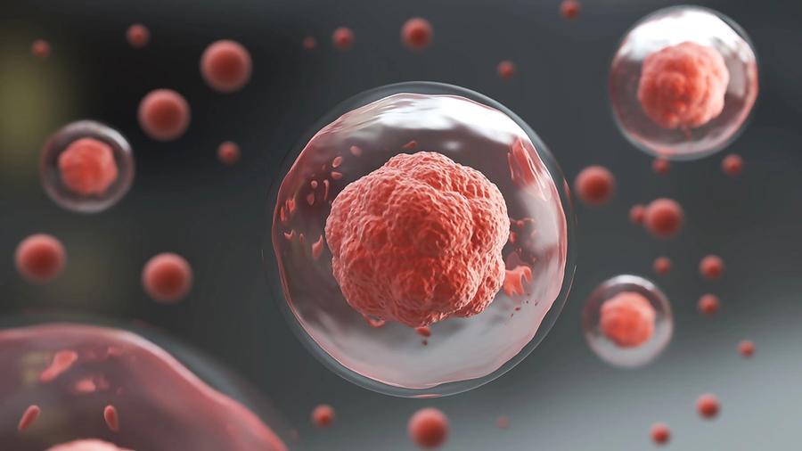 Scaling Up Capacity for Cell Therapies; Image: Anusorn/Stock.Adobe.com