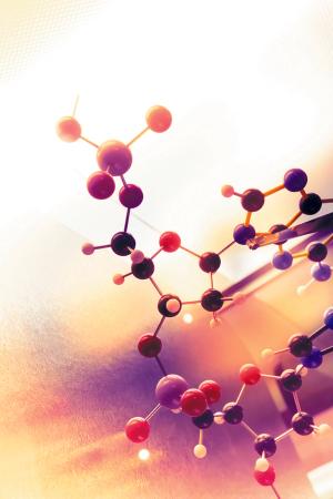 Selecting the Appropriate Technology for Oral Bioavailability Enhancement