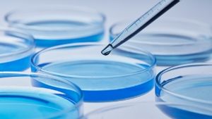 METHONOVA™: Enhancing Cell Culture Growth and Productivity with High Purity Methylcellulose