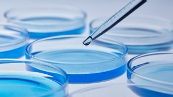 METHONOVA™: Enhancing Cell Culture Growth and Productivity with High Purity Methylcellulose