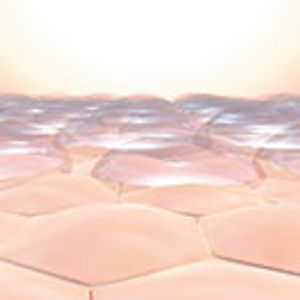 A Novel Amorphous Delivery System to the Skin for Poorly Soluble Actives