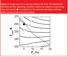 Lyophilization: cycle robustness and process tolerances, transfer