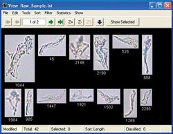 FlowCam-Nano-Images-Proteins_250.jpg