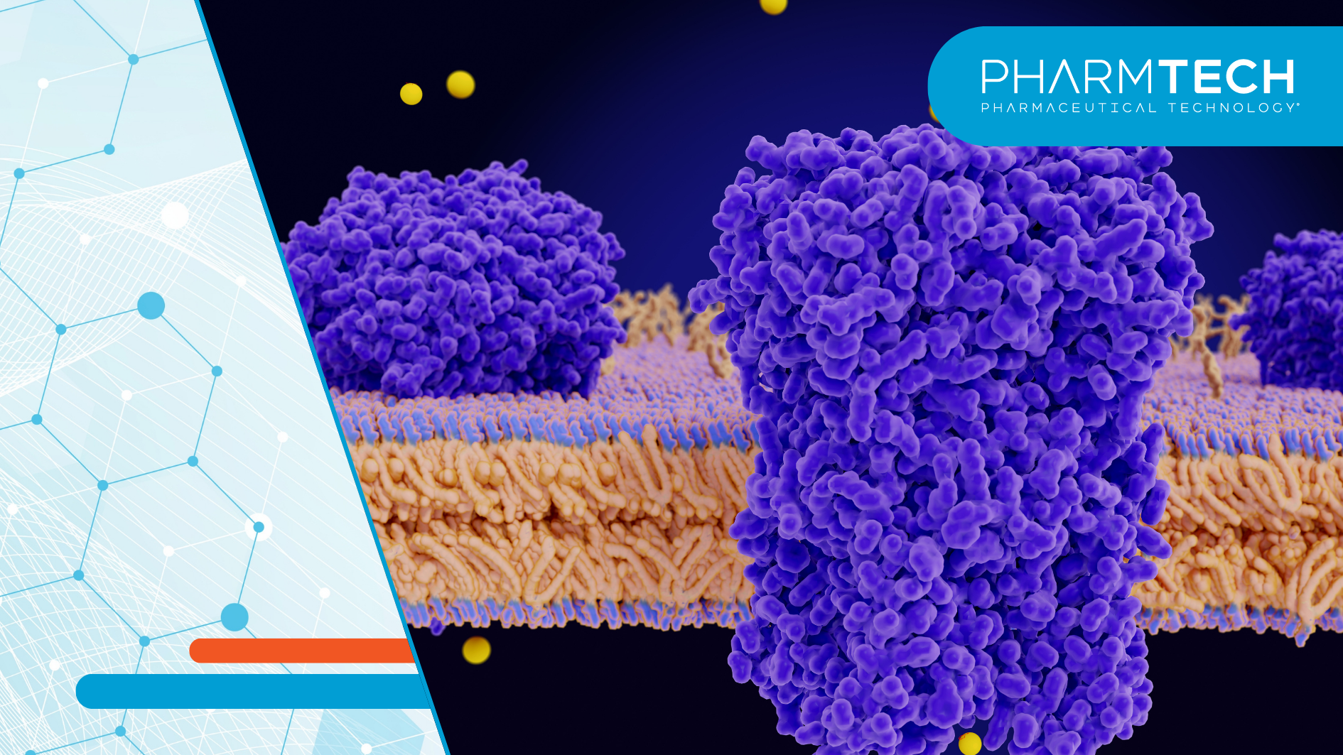 The FDA Granted Priority Review to Ravulizumab