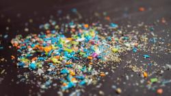 Microplastics as Vectors of Pharmaceuticals in Ecosystem: A Concern
