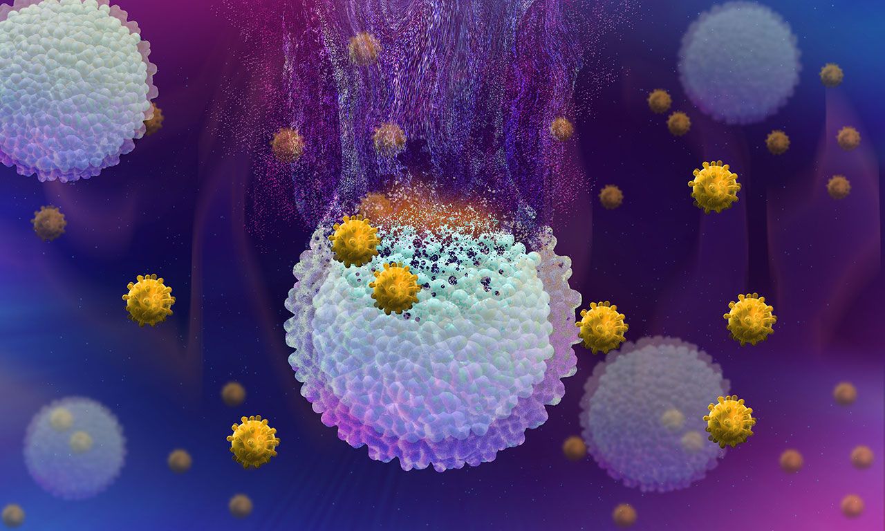 Cancer cells being destroyed by immunotherapy | Image Credit: ©Jennifer -stock.adobe.com