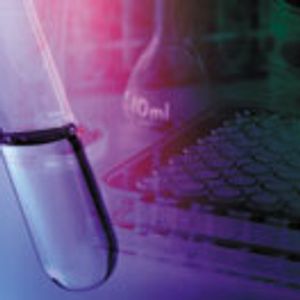 High Throughput Screening of Excipients