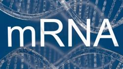 Looking Beyond mRNA-based COVID-19 Vaccines to Innovative Therapeutics