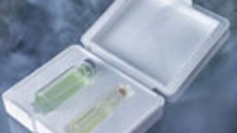 Packaging Preserves The Cold Chain