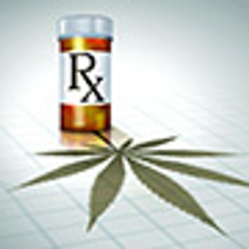 Lightspring/Shutterstock.com