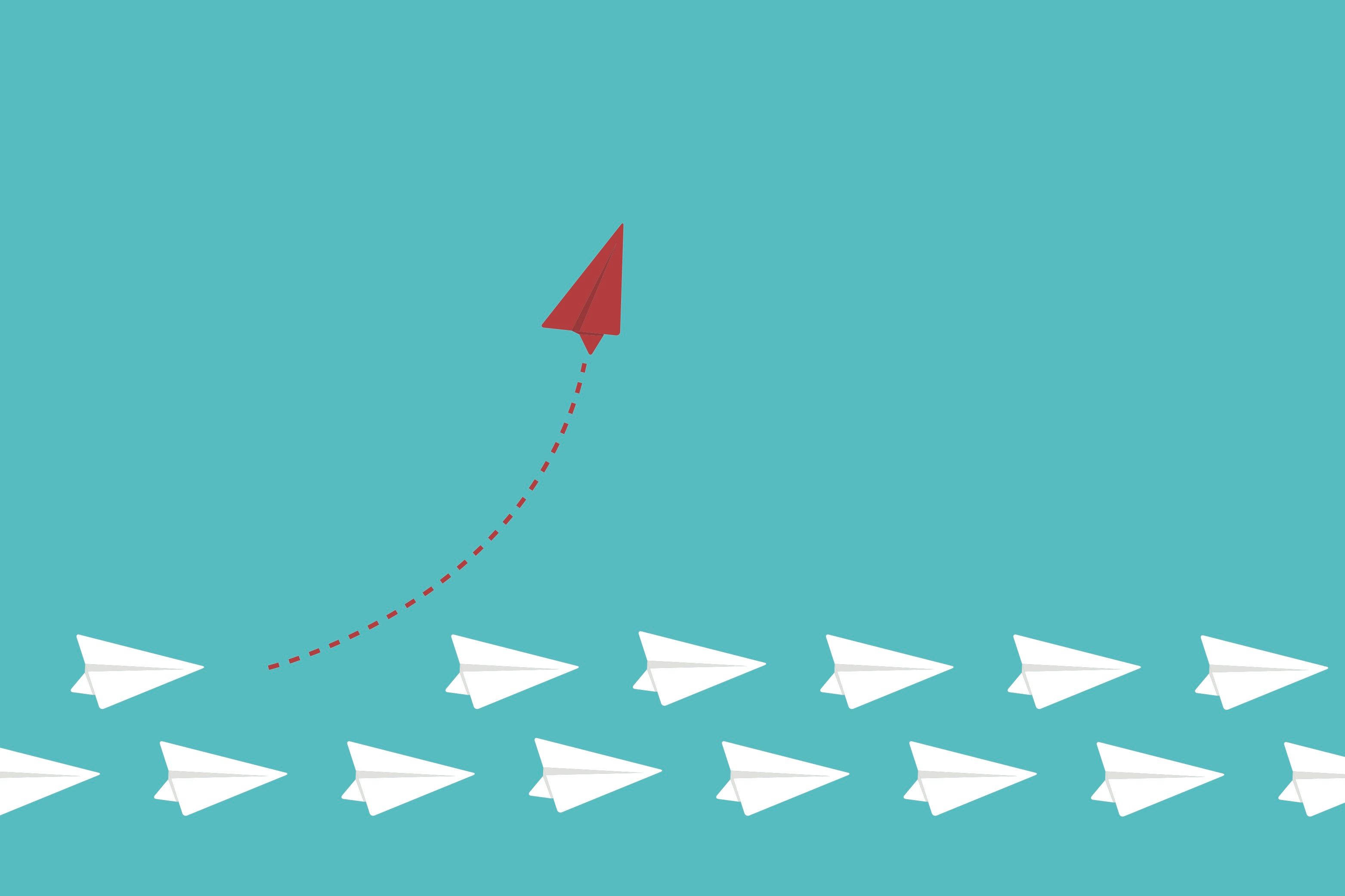 MaDedee/Shutterstock.com