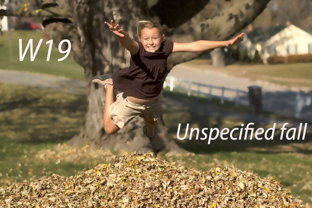 W19 – Unspecified fall