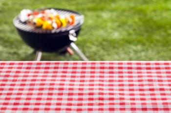 ©stockcreations/Shutterstock.com