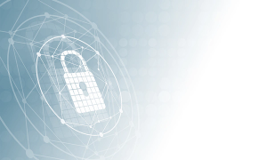 CISA cybersecurity vulnerability announcement underscores importance of risk assessment when transferring PHIs to patients