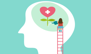 Guide to physician mental health and disability