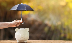 Could the 529 be the holy grail of asset protection?