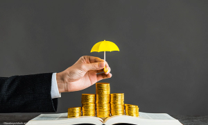 Asset Protection and Physician Family Businesses 