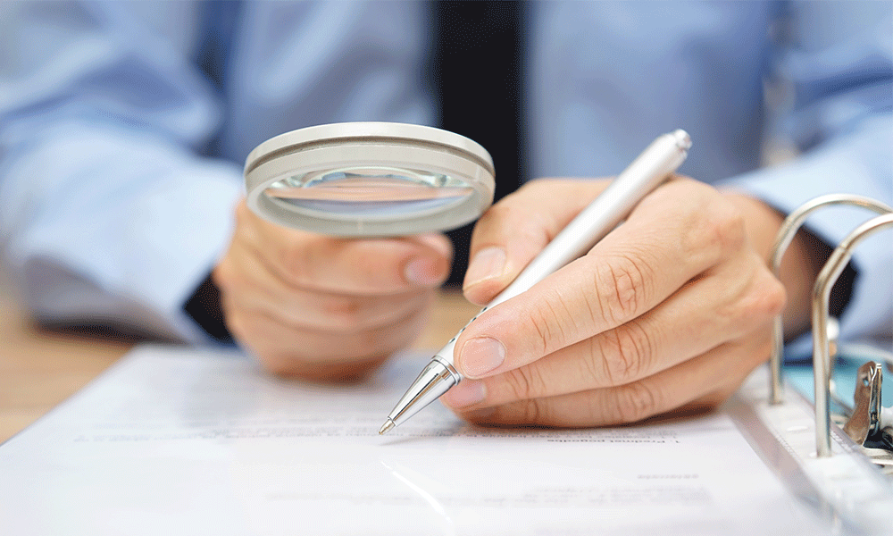 lawyer magnifying glass