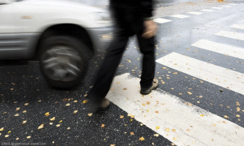 ©FerGregory/Shutterstock.com