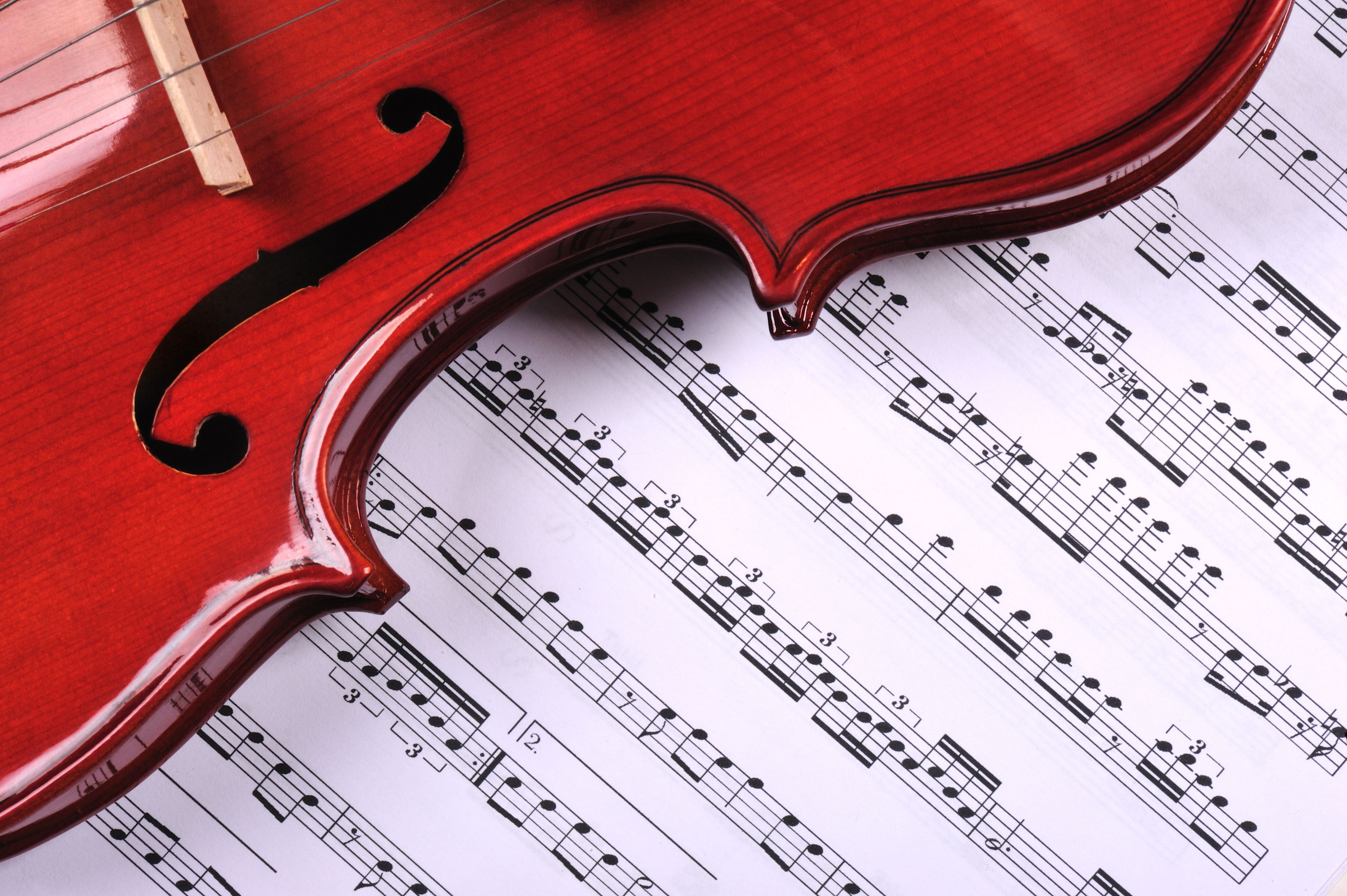 violin music | © hayricaliskan - stock.adobe.com
