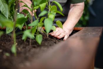 gardening | © M.Dörr & M.Frommherz - stock.adobe.com