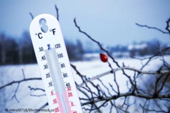 ©mkrol071/Shutterstock.com