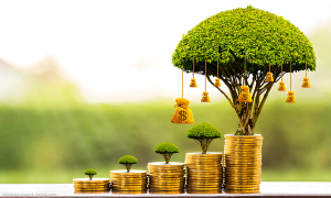 Four smart investments physicians should consider in 2021