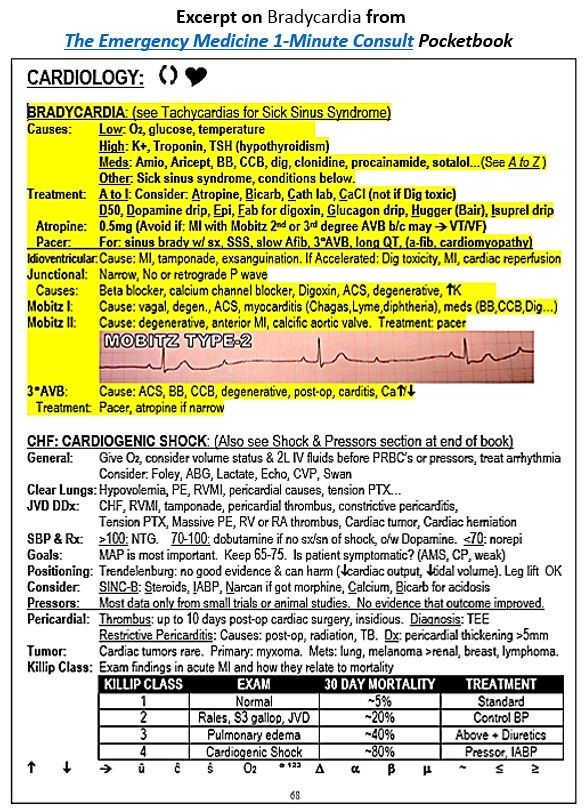 Bradycardia But Why Bradycardia But Why